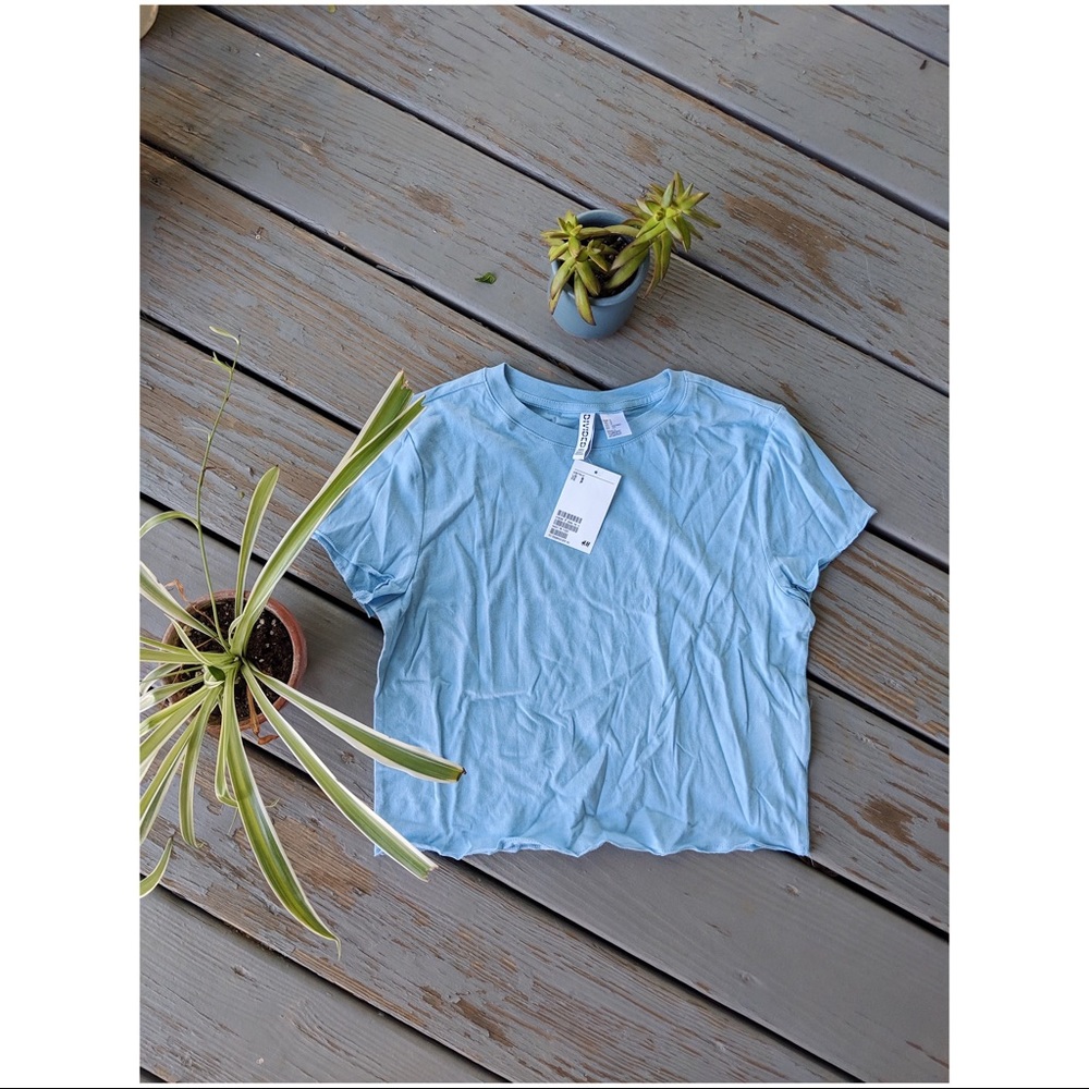 NWT H&M Powder Blue Crop Tee